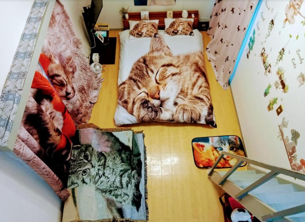Tokyo Shibuya Shinjyuku Cat House ! Διαμέρισμα Εξωτερικό φωτογραφία