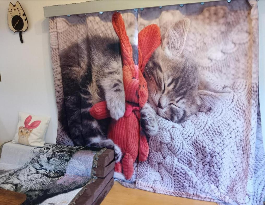 Tokyo Shibuya Shinjyuku Cat House ! Διαμέρισμα Εξωτερικό φωτογραφία