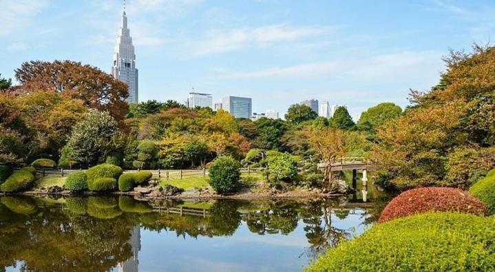 Tokyo Shibuya Shinjyuku Cat House ! Διαμέρισμα Εξωτερικό φωτογραφία