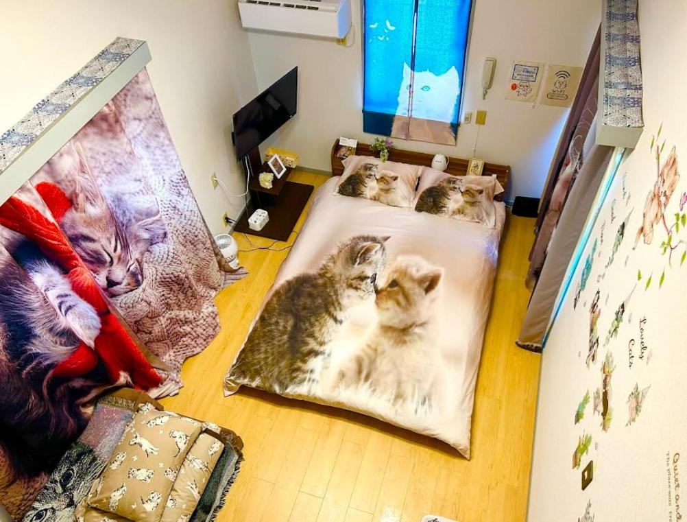Tokyo Shibuya Shinjyuku Cat House ! Διαμέρισμα Εξωτερικό φωτογραφία